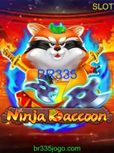 NinjaRaccoon